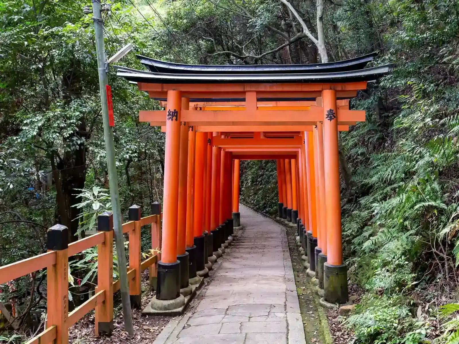 Rdeča vrata tori v svetišču Fushimi Inari v Kjotu